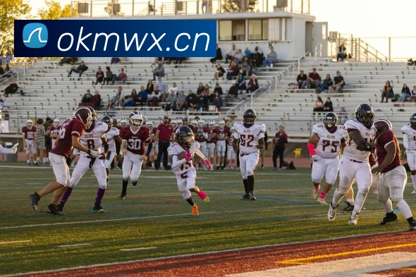 近距离揭秘欧冠杯奖杯:制作工艺与象征意义深度解读